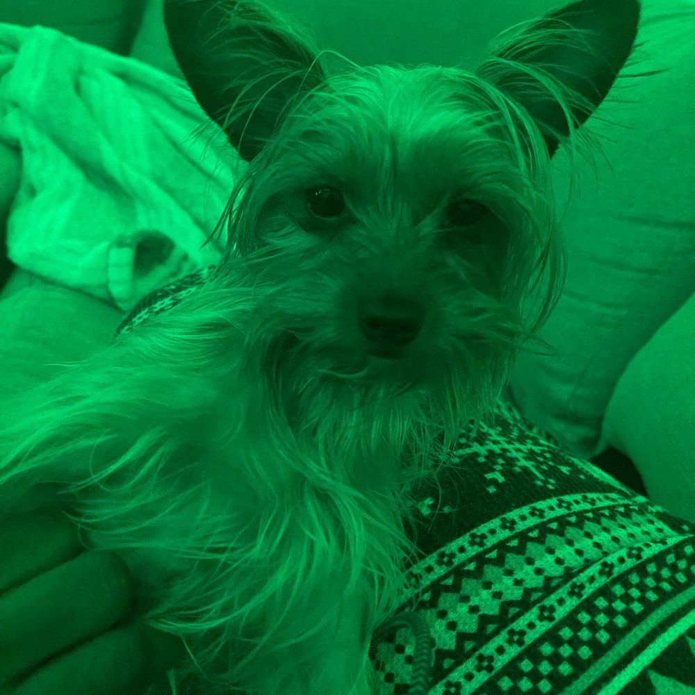 Meet your Posher, Kim